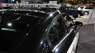 Illustration for article titled Your Chicago Auto Show menagerie of oddities